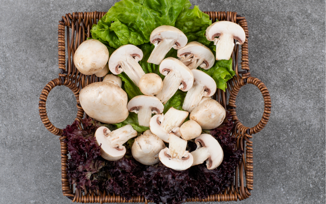 Mushrooms – Extraordinary Nutrients and Positive Benefits #12