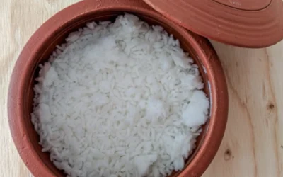 Potential Benefits of Fermented Rice for Autistic & ADHD Kids