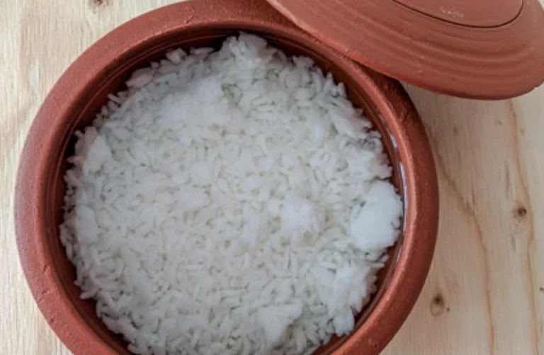 Potential Benefits of Fermented Rice for Autistic & ADHD Kids