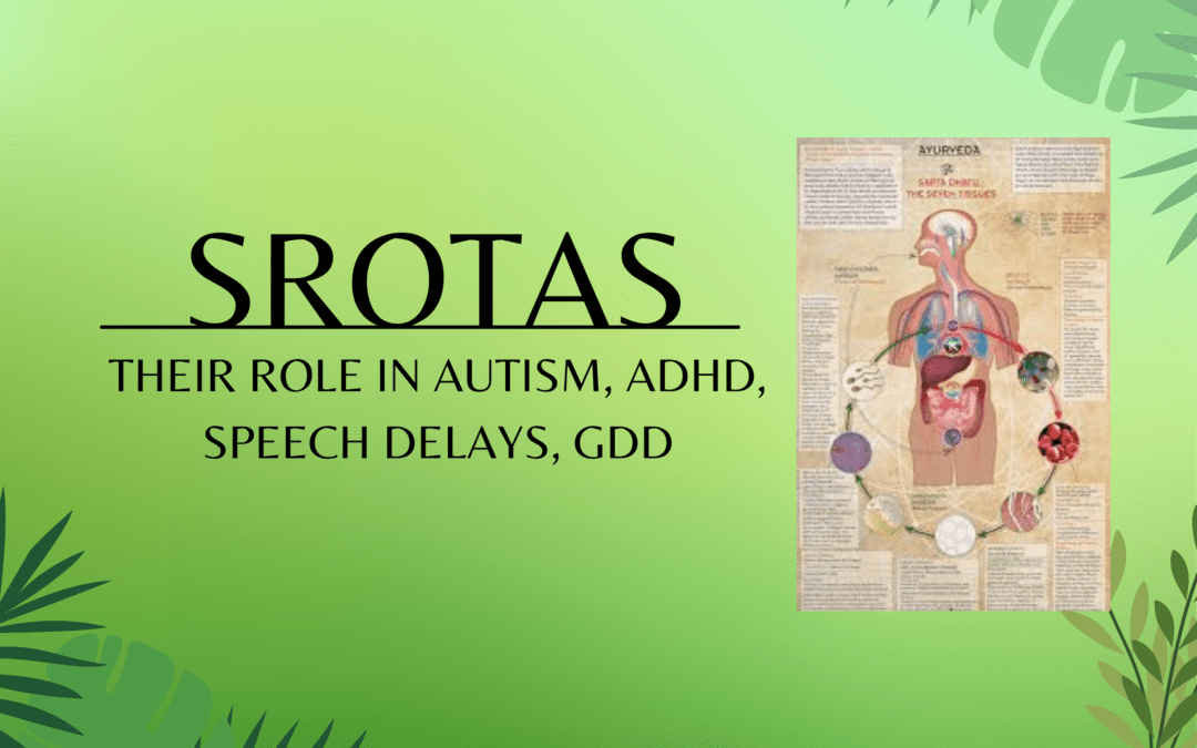 Srotas and Their Role in Developmental Delays, Speech Delays, Autism, and ADHD